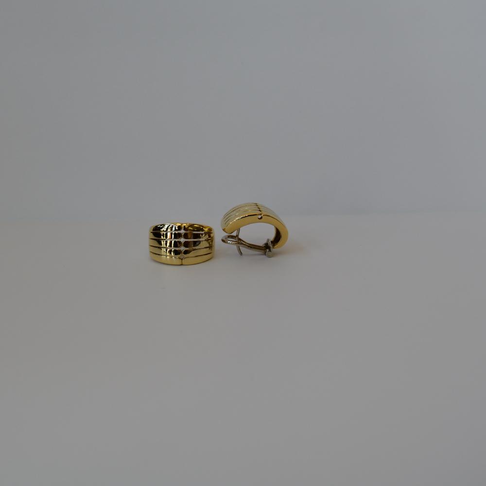 18K Yellow Earrings